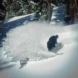 Meet your Posher, Jayson